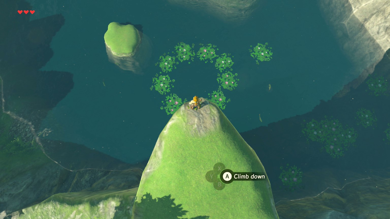 Korok Seed in the pond on the Great Plateau